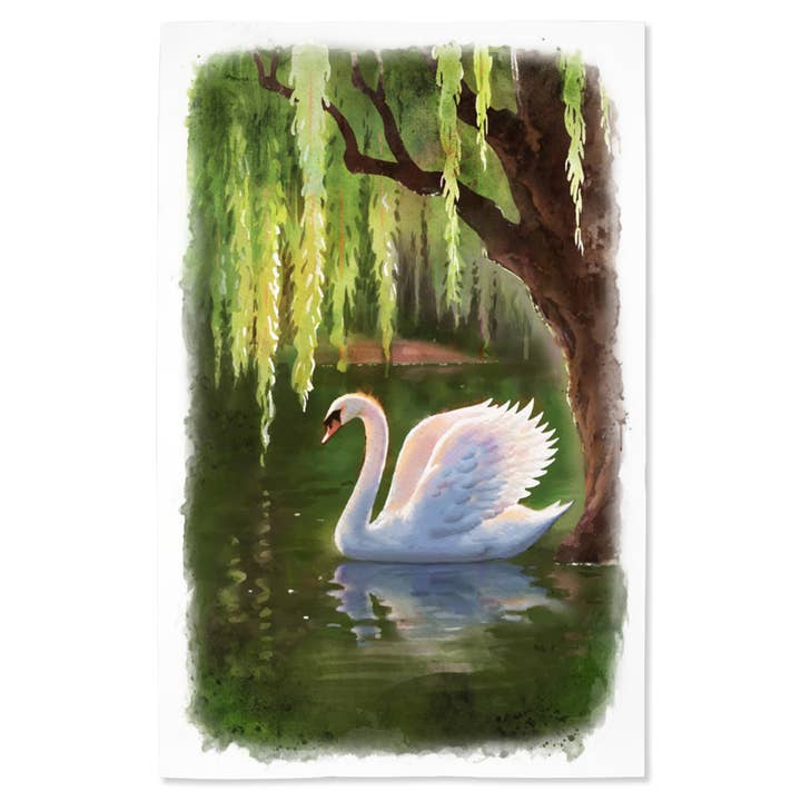 GICLEE PRINT Swan & Willows, Watercolor for wholesale by Lantern Press