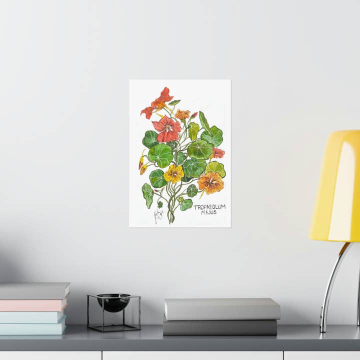 Tropaeolum Majus pour la vente par Jordan Pugh Art