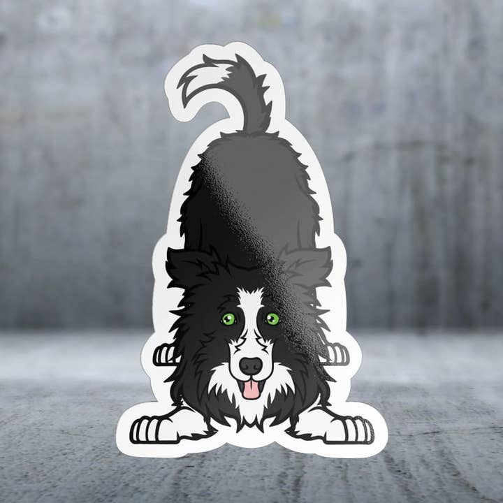 Lekfull Border Collie - Klistermärke för wholesale av Two Feet Treats