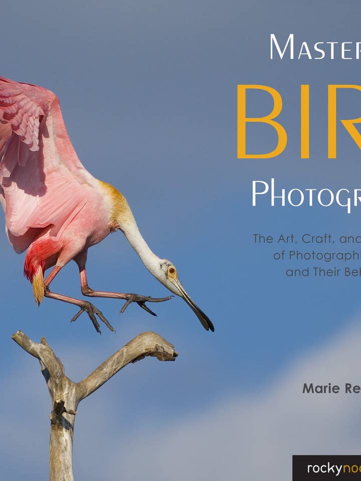 Mastering Bird Photography for wholesale by Rocky Nook