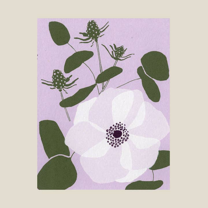 Rosendal anemone card for wholesale by Kinaloon