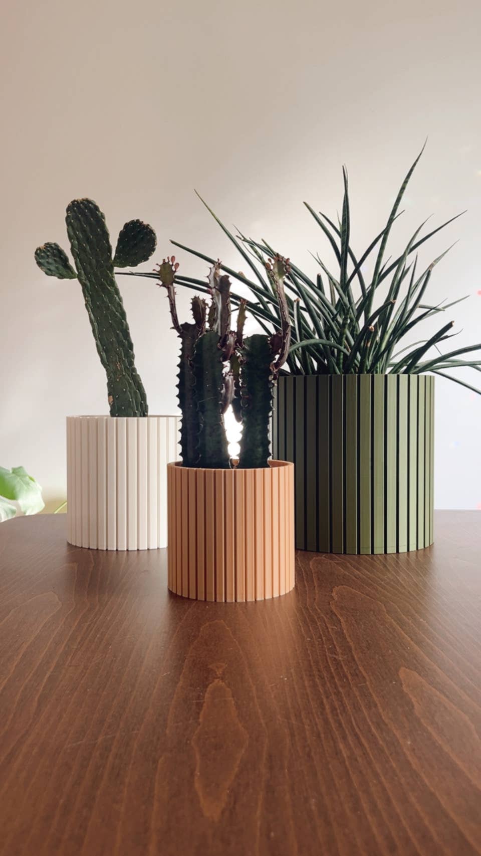 Prairie City Printing Co. - Wholesale Plant Pot - Nordic Plant Pot in Colour | Mid-Century | Scandinavian Insp0