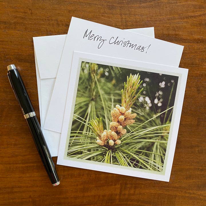 Pine Tree for wholesale by Whispered Light Greeting Cards