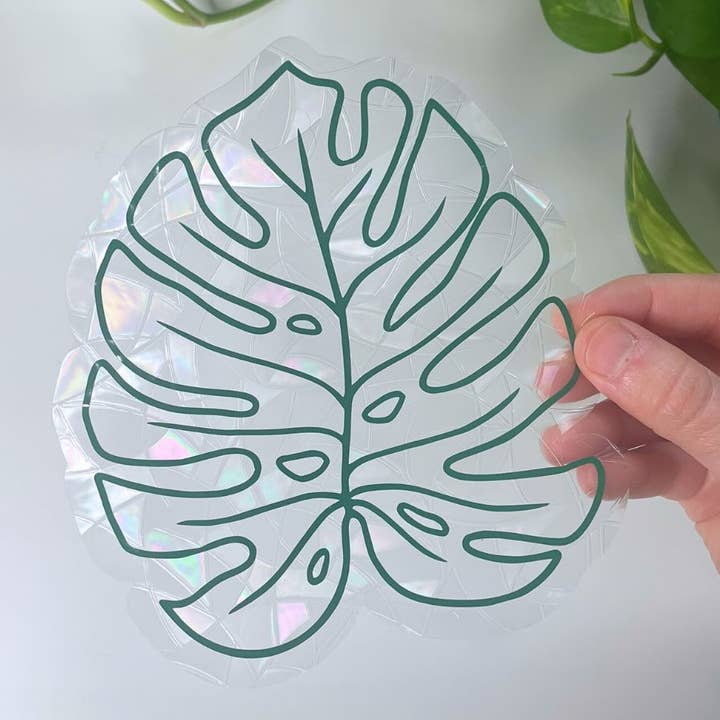 Adesivo per vetri a forma di foglia di Monstera | Decorazione per finestre | Piante per la vendita all'ingrosso da parte di Mindful over Mind Full