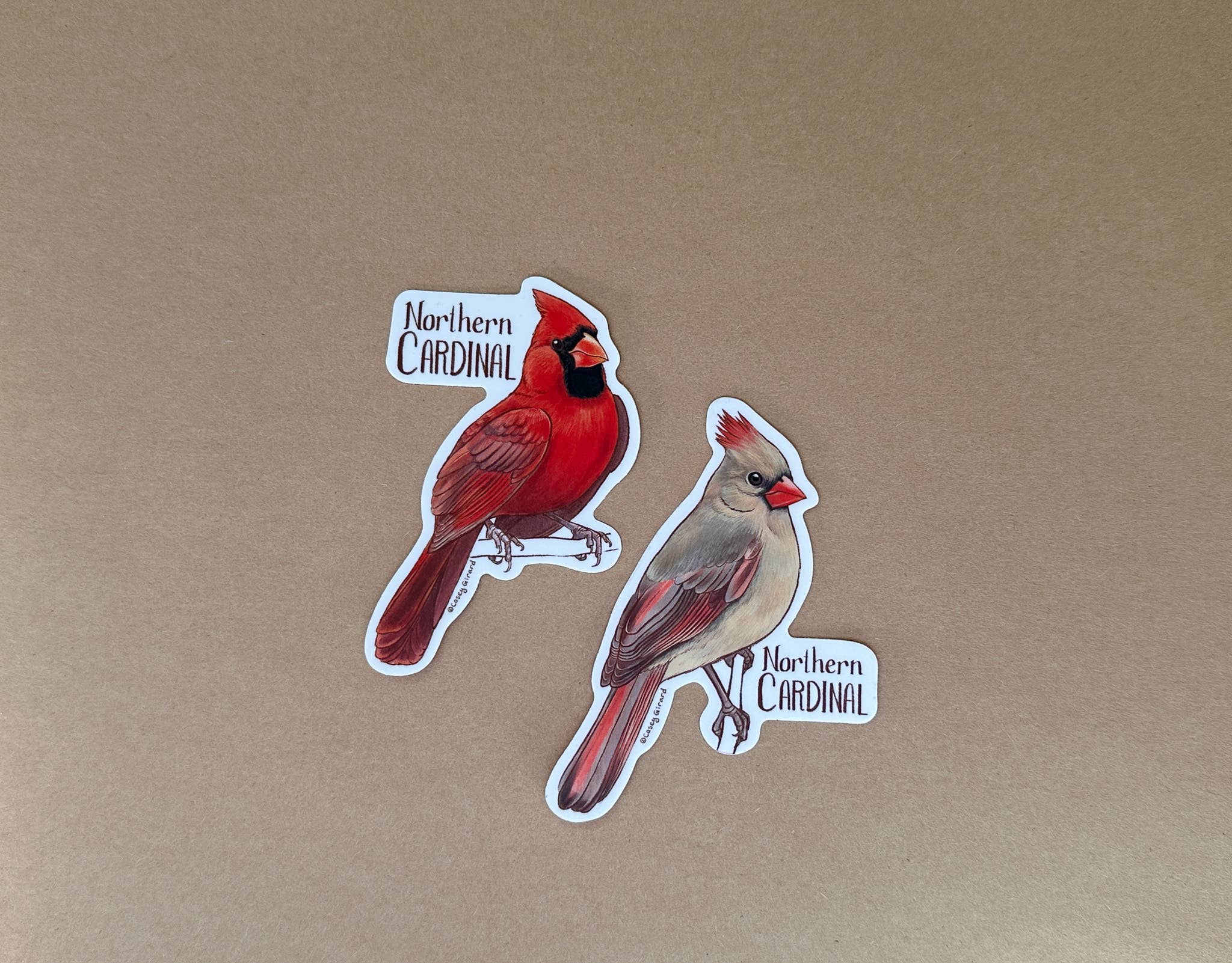 River Thrush Studio - Wholesale Sticker - Northern Cardinal - Vinyl Sticker1