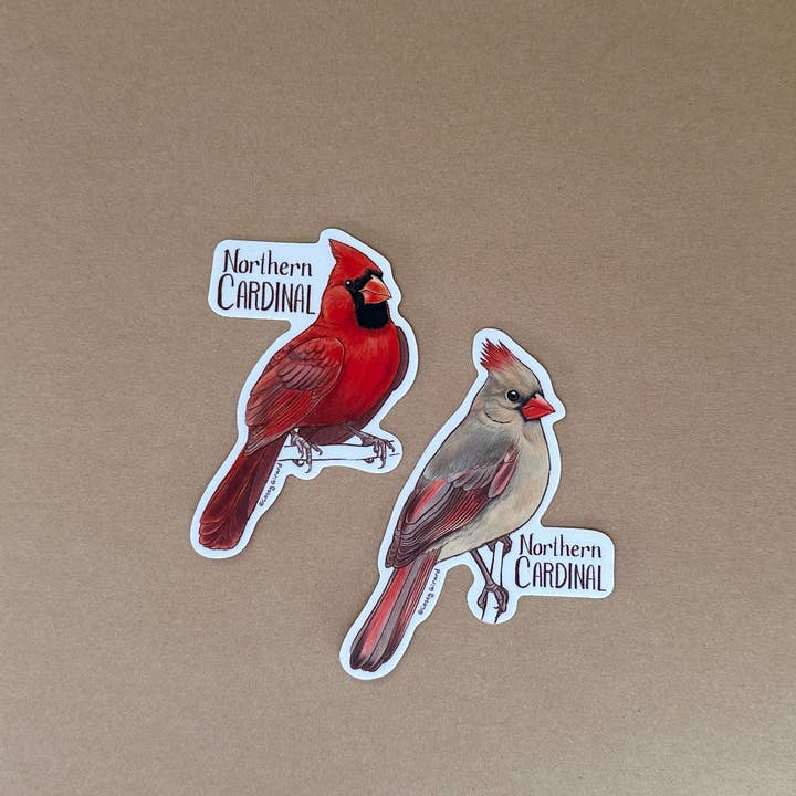 River Thrush Studio - Wholesale Sticker - Northern Cardinal - Vinyl Sticker1