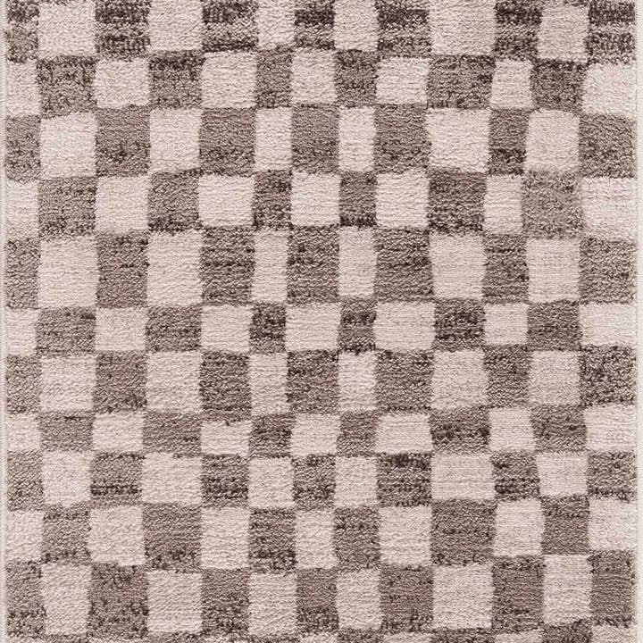 Hauteloom - Wholesale Area Rug - Benjy Beige Checkered Area Rug3