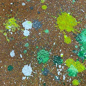 Tracey Tanner – wholesale Phone wallet – women's – Tia Crossbody Phone Case73