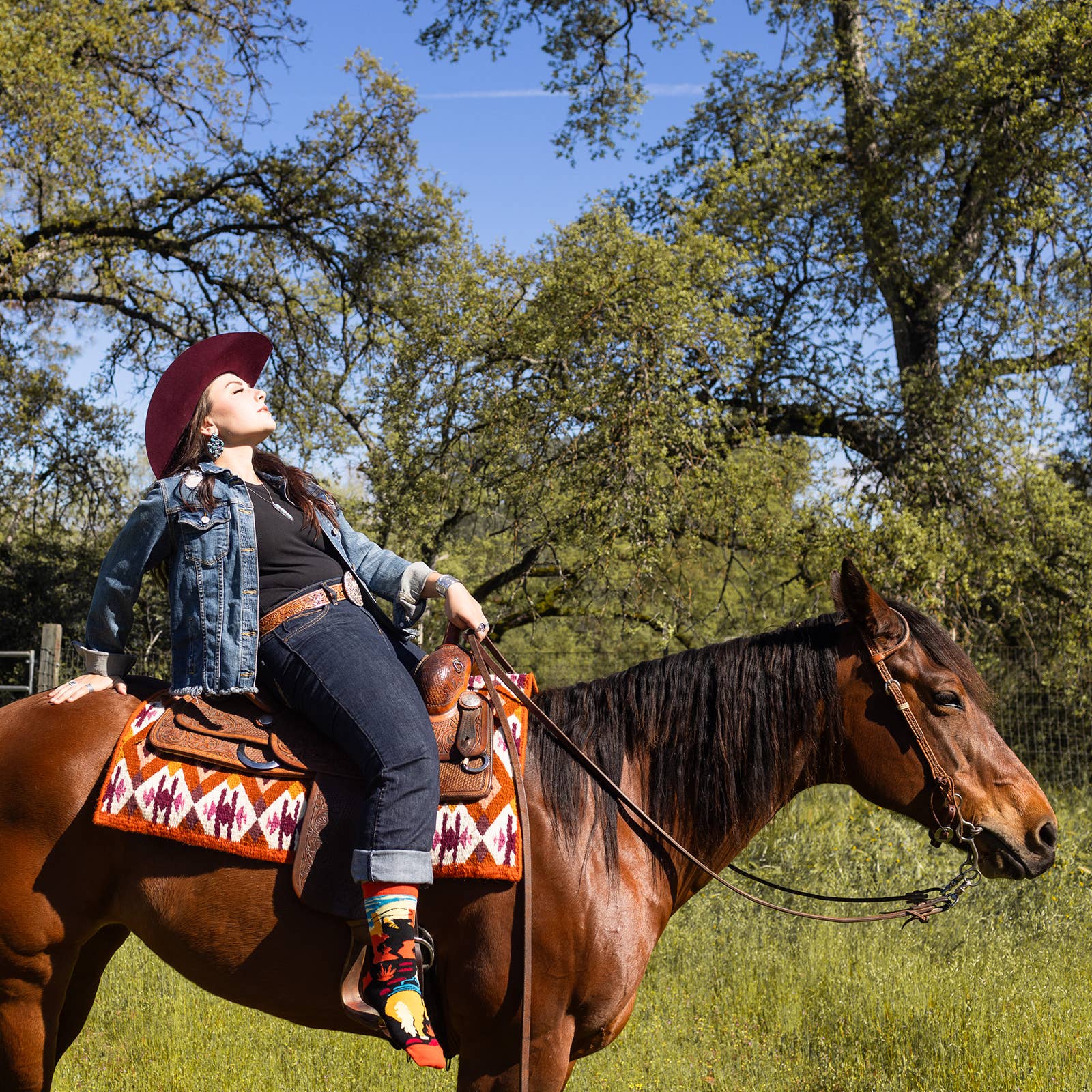 Lavley - Wholesale Socks - Unisex - Giddy Up Socks8