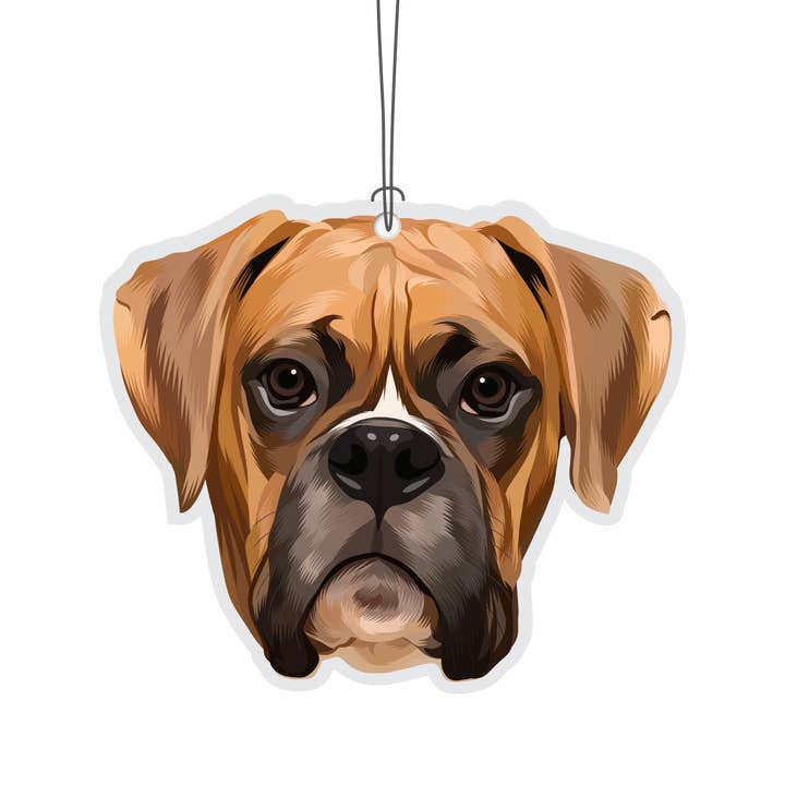 Désodorisant Originalité Boxer pour la vente par Really?! Air Fresheners
