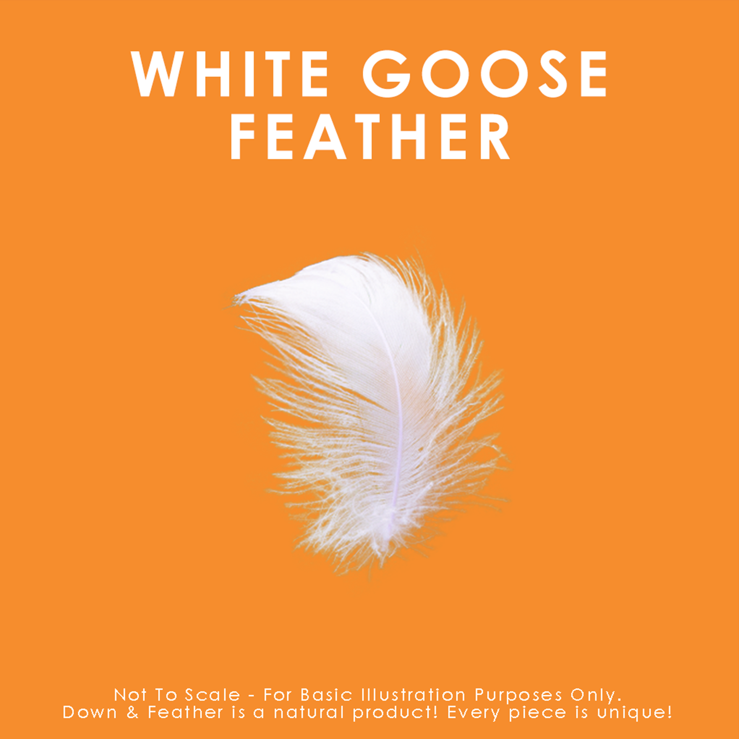 Canadian Down & Feather Company - Wholesale Dekbedovertrek - Dekbed gevuld met witte ganzendons3