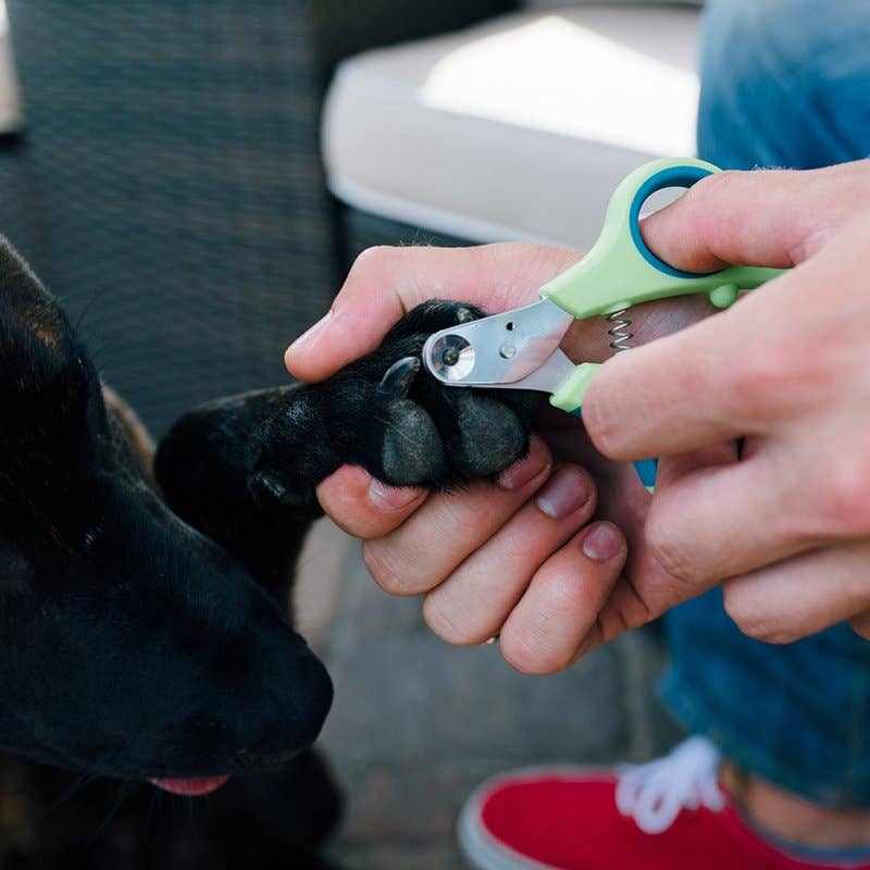 4cats Heimtierbedarf GmbH - Wholesale Pet Grooming Aid - Dog - PerAnimal Zen Clipper - available in 5 sizes10