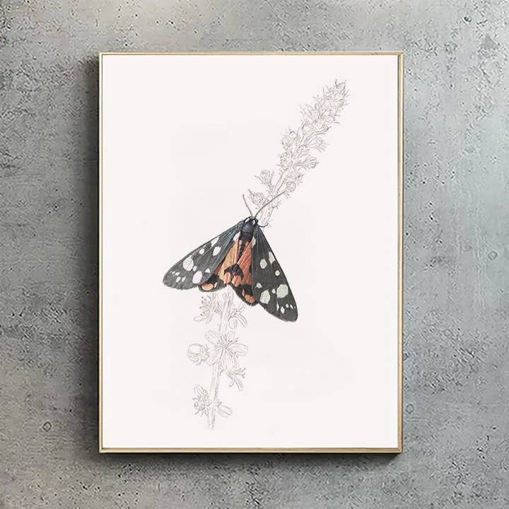 Scarlet Tiger Moth - A2 Print (landscape) for wholesale by Hidden Planet