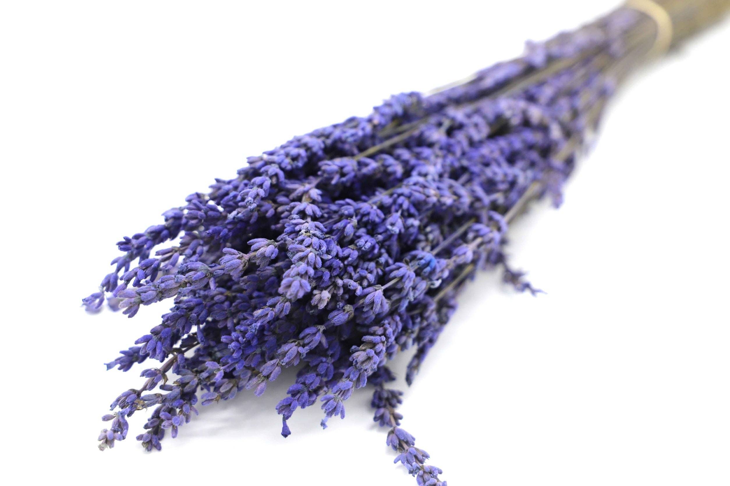 Kunstharz.Art – Flores secas/prensadas por atacado – Lavanda Seca com Aroma Simpático para Decoração e como Presente6