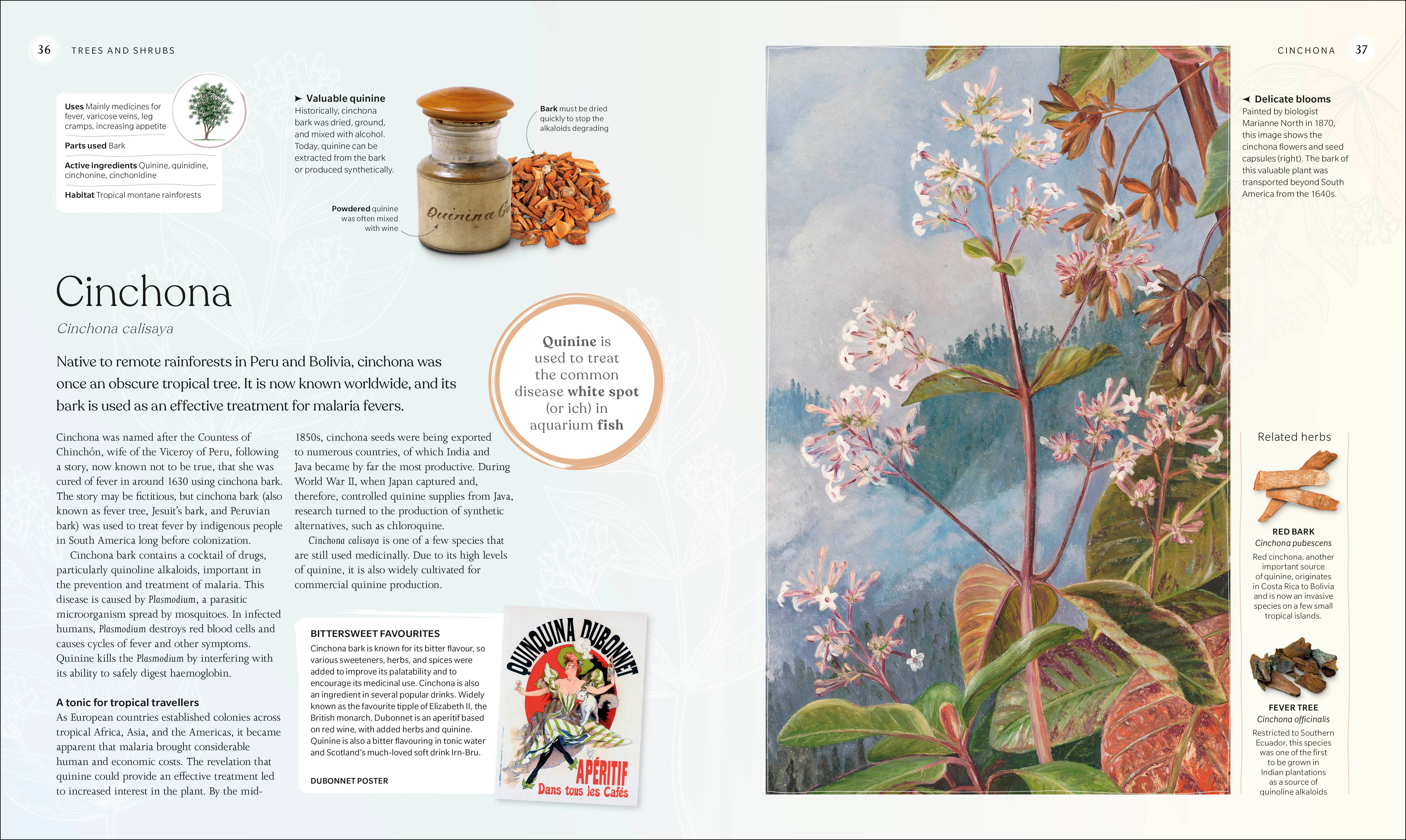 Penguin Random House LLC - Wholesale Nature & Outdoors - The Herb Book1