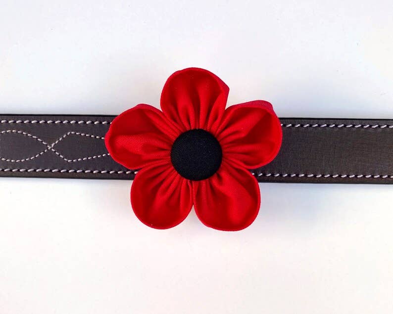 Darcy's Canine Designs - Wholesale Pet Collar - Dog - Red Poppy Collar Flower Pet Accessory3