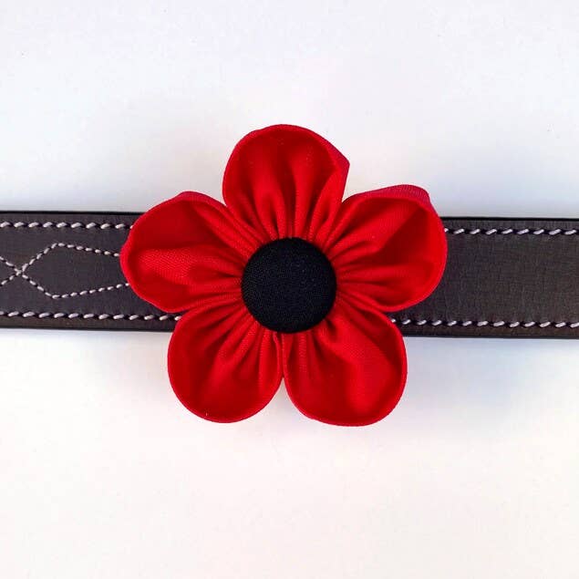 Darcy's Canine Designs - Wholesale Pet Collar - Dog - Red Poppy Collar Flower Pet Accessory3