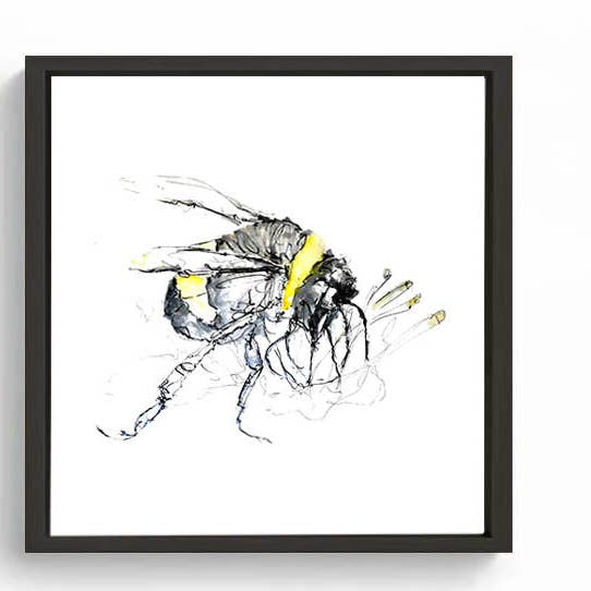 Wendy Laverick - Vendita all'ingrosso Stampa artistica - Stampa su Tela Quadrata in Edizione Limitata Bertie l'Ape Bombus