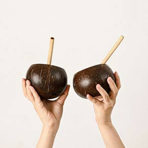 Coconut Cups, Set of 2 Coconut Shell Cups