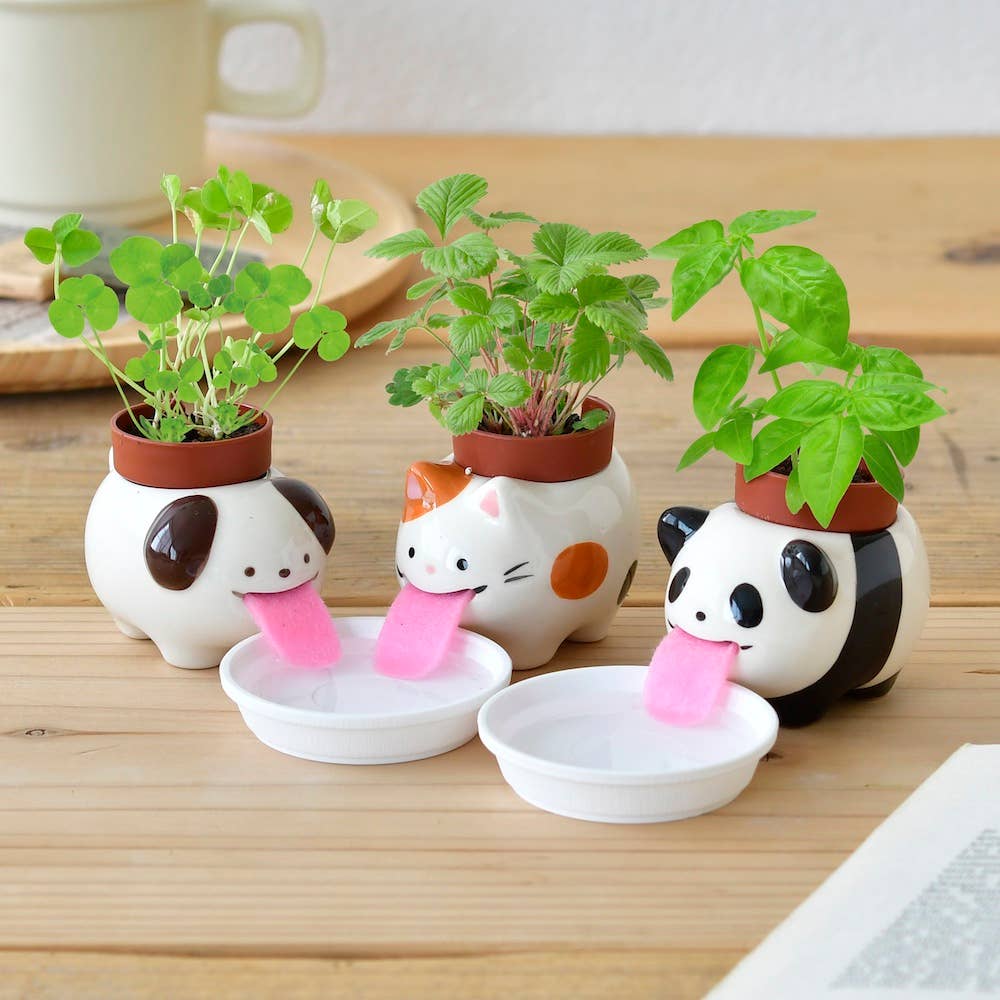 Noted - Vente Pot - Peropon - Assortiment de 3 couleurs/styles1