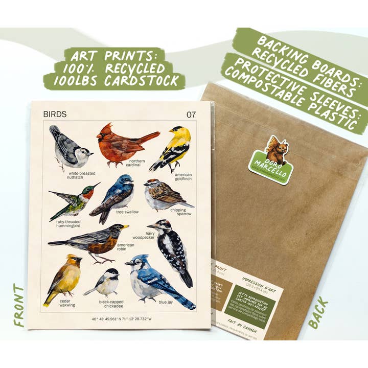 Doro Marcello - Wholesale Art Print - Bird Art Print | 8x10'' | Vintage Botanical Wall Art4