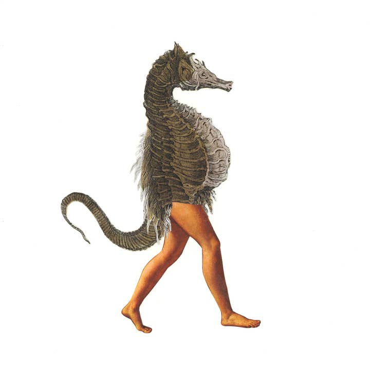 Seahorse-opdruk voor wholesale door Nature Morph