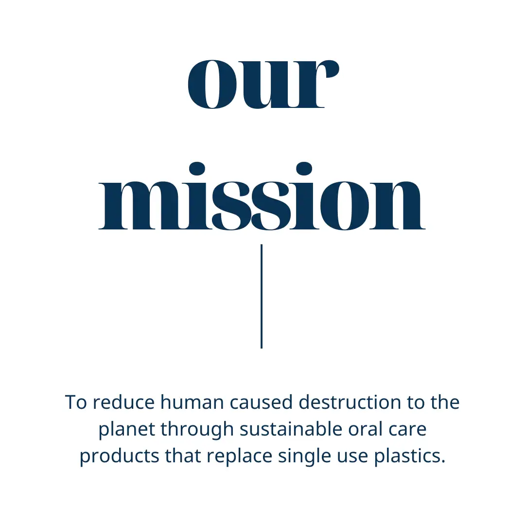 Lark Oral Care – wholesale Toothbrush holder – Wheat-Straw Toothbrush Travel Case2