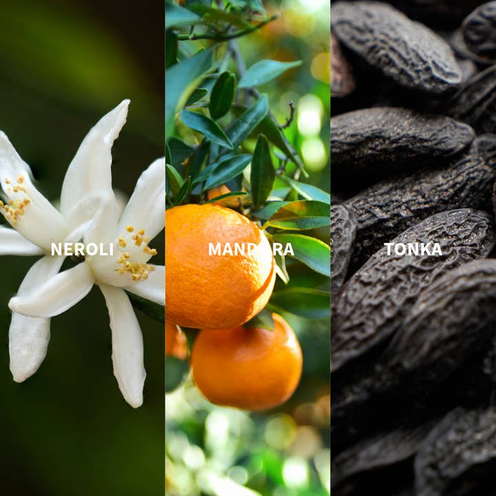 FiiLiT Parfum du voyage - Wholesale Perfume/Eau de Toilette - MAZHAR ATLAS Eau de Perfume4