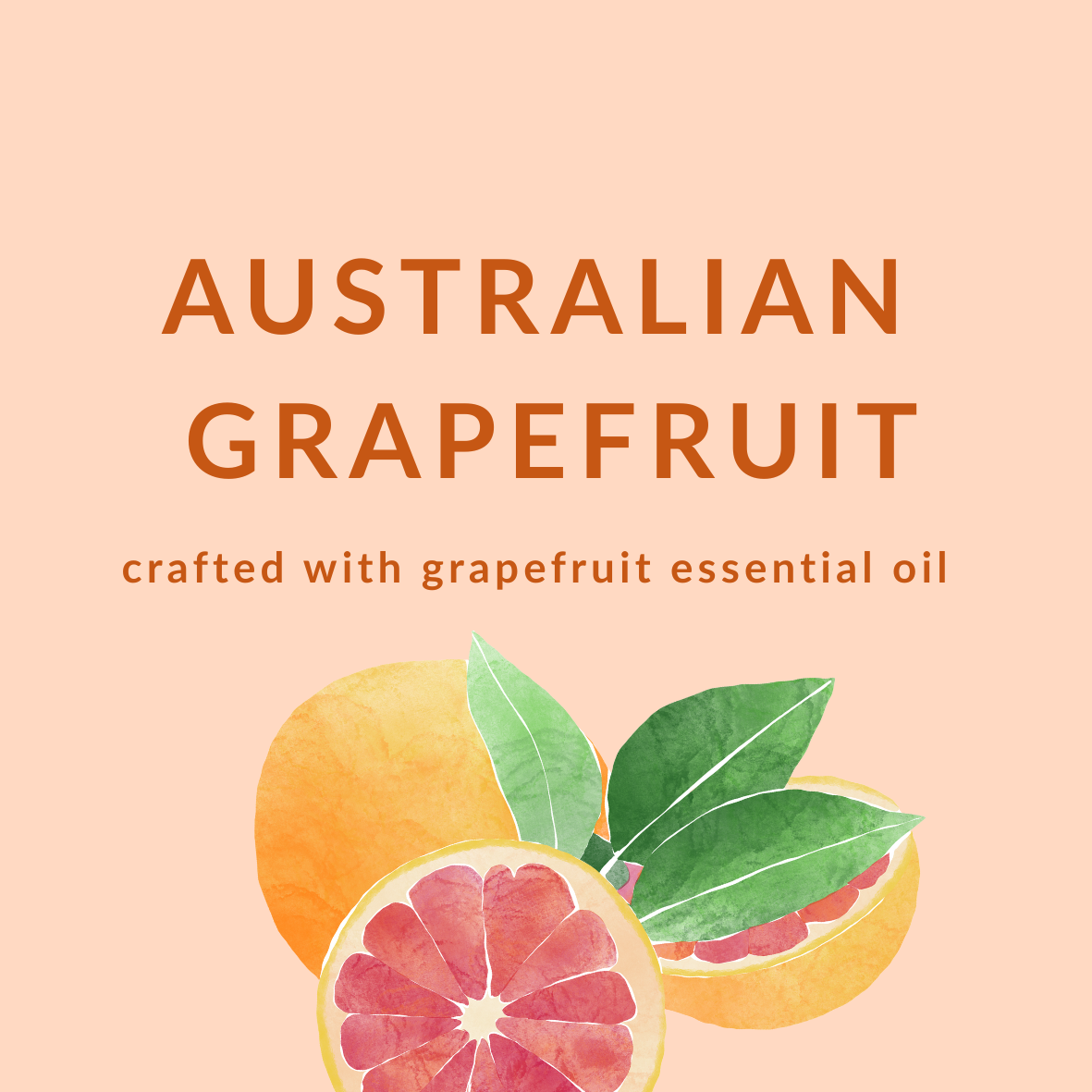 Conscious Coconut - Wholesale Body Scrub/Exfoliant - Coconut Oil Sugar Scrub: Small Batch Made to Order
12