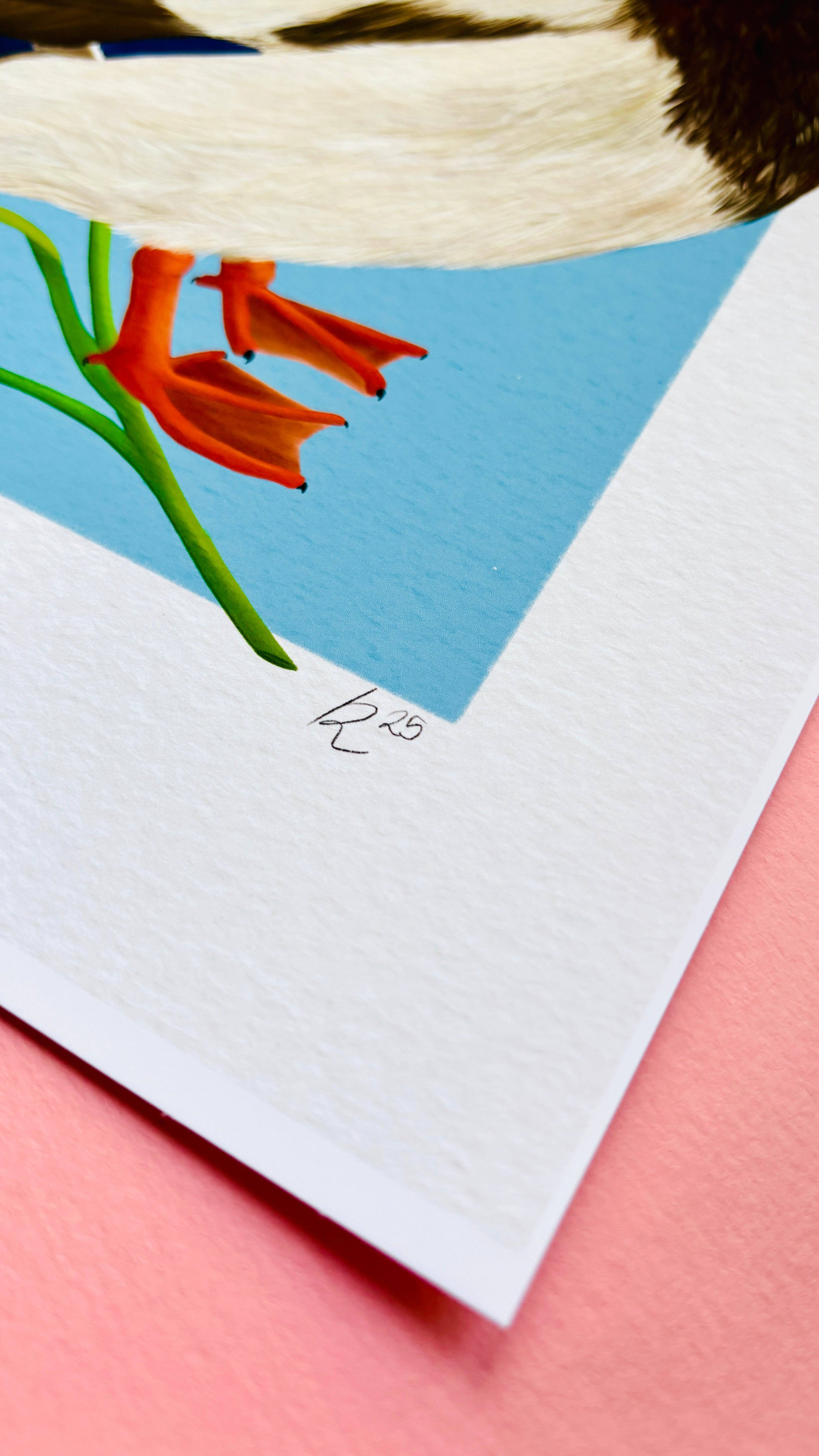 Pixiecraft - Wholesale Art Print - Mallard Duck Art Print- British Wildlife Illustration for Nature Lovers1