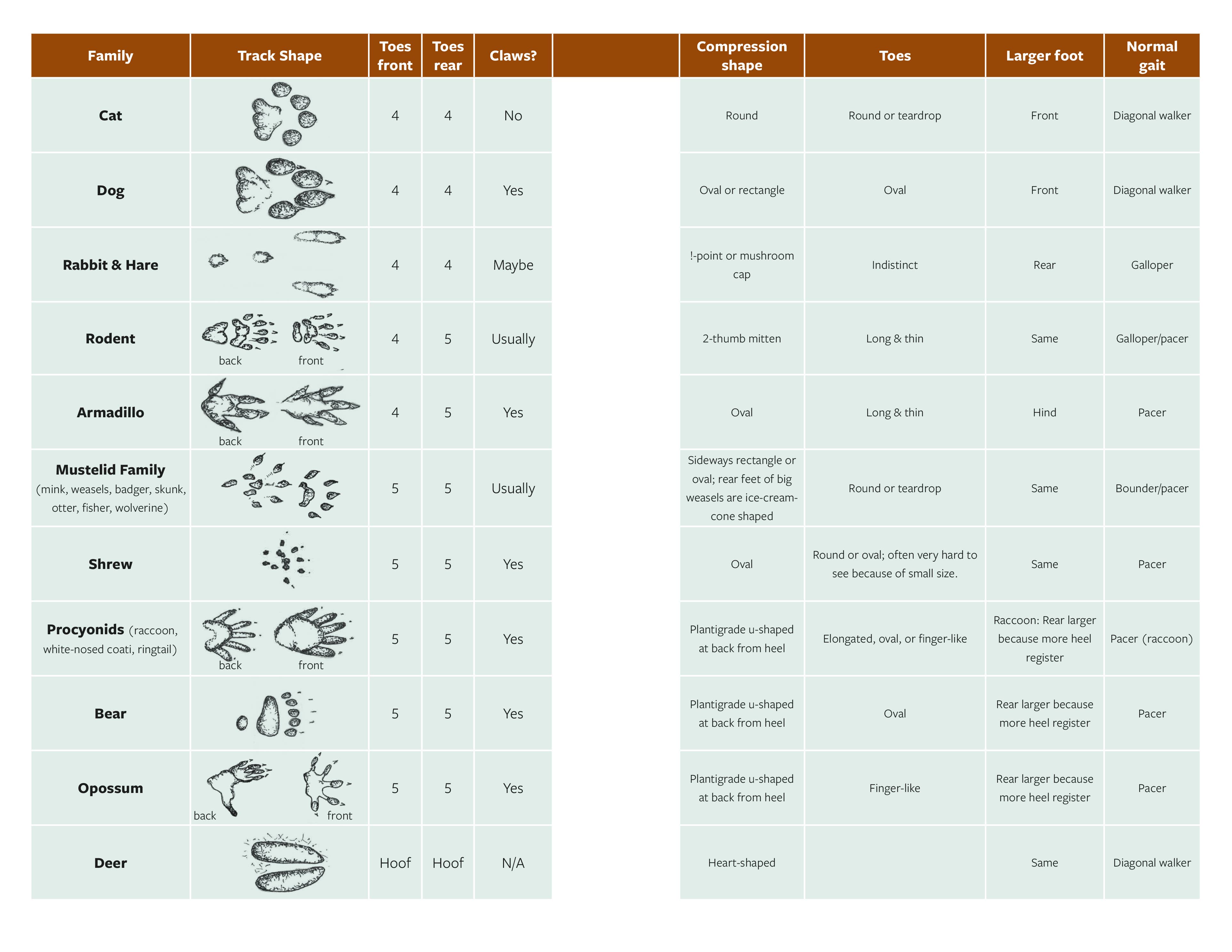 Mountaineers Books - Wholesale Nature & Outdoors Book - The Naturalist's Companion4