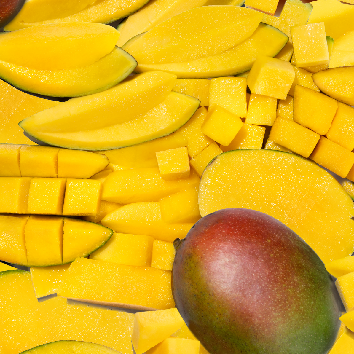 Piko Provisions - Wholesale Fruit Snacks - Mango5