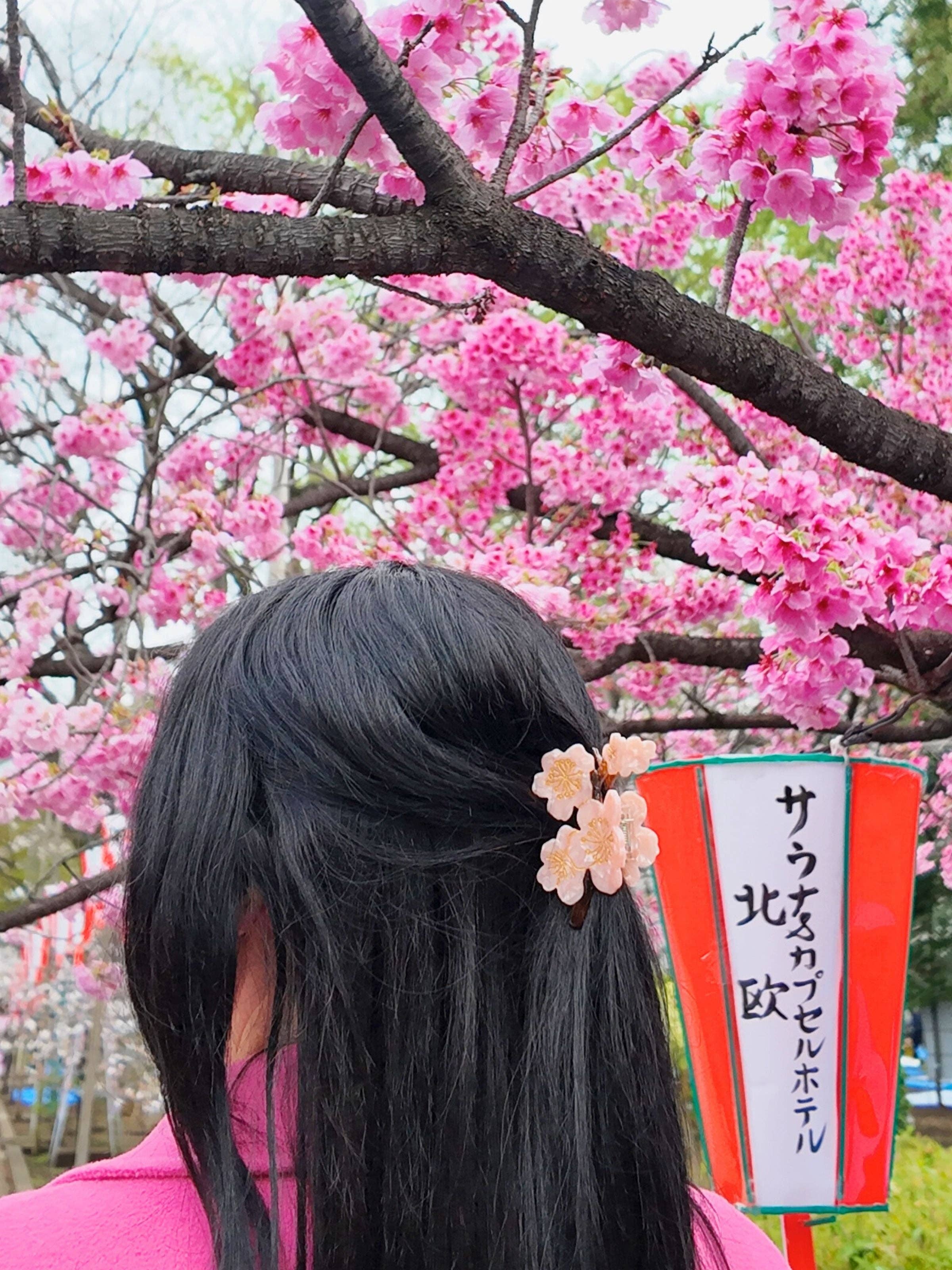 Solar Eclipse – wholesale Hair clip – Women’s – Hand-painted Cherry Blossom Flower Claw Hair Clip | Eco-Friendly7
