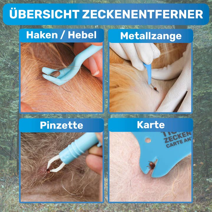 BluePet - Wholesale Pet Grooming Set - Dog - 10-piece tick remover set, emergency kit for dogs & cats2