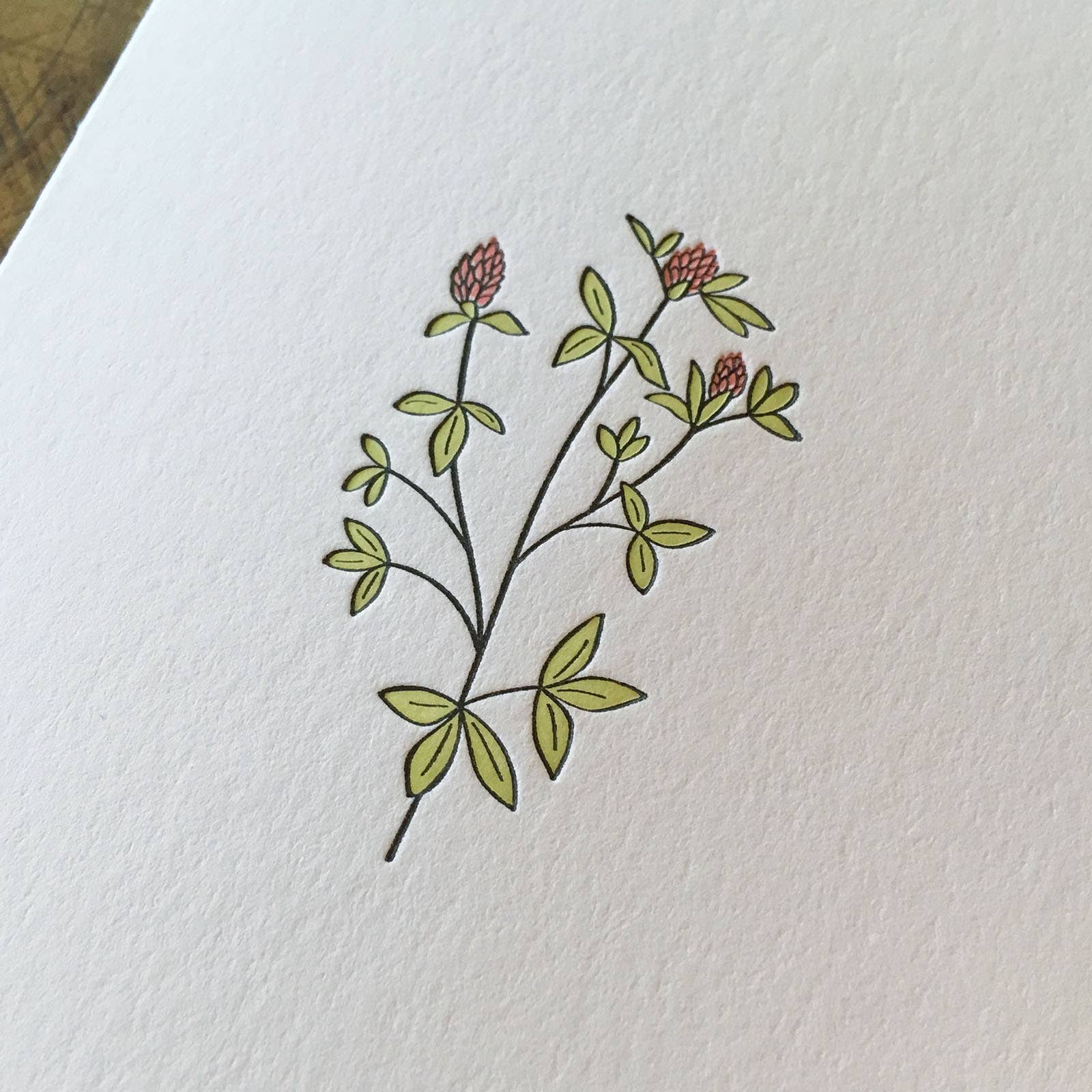 Green Bird Press - Wholesale Everyday Greeting Card - Red Clover Wildflower Letterpress Card1