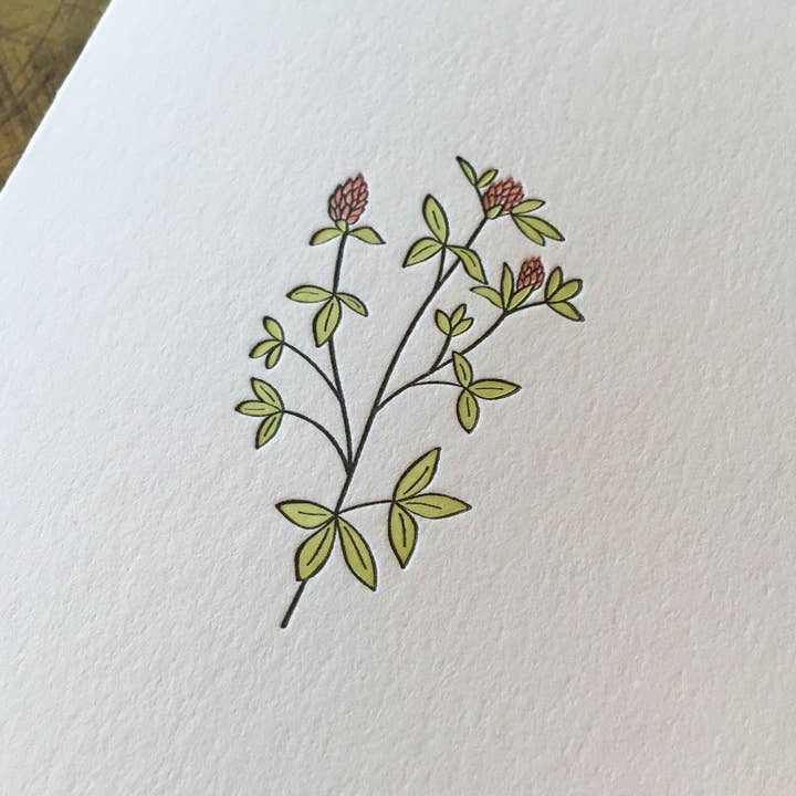 Green Bird Press – wholesale Everyday greeting card – Red Clover Wildflower Letterpress Card1
