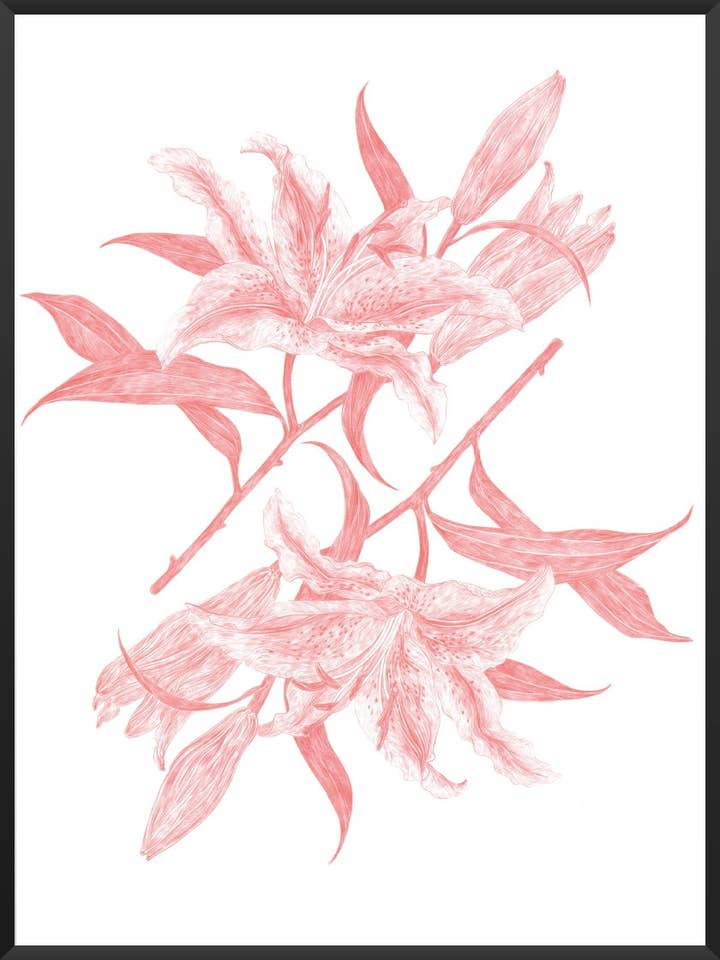 Lirios espejo - Póster para venta al por mayor de Project Nord