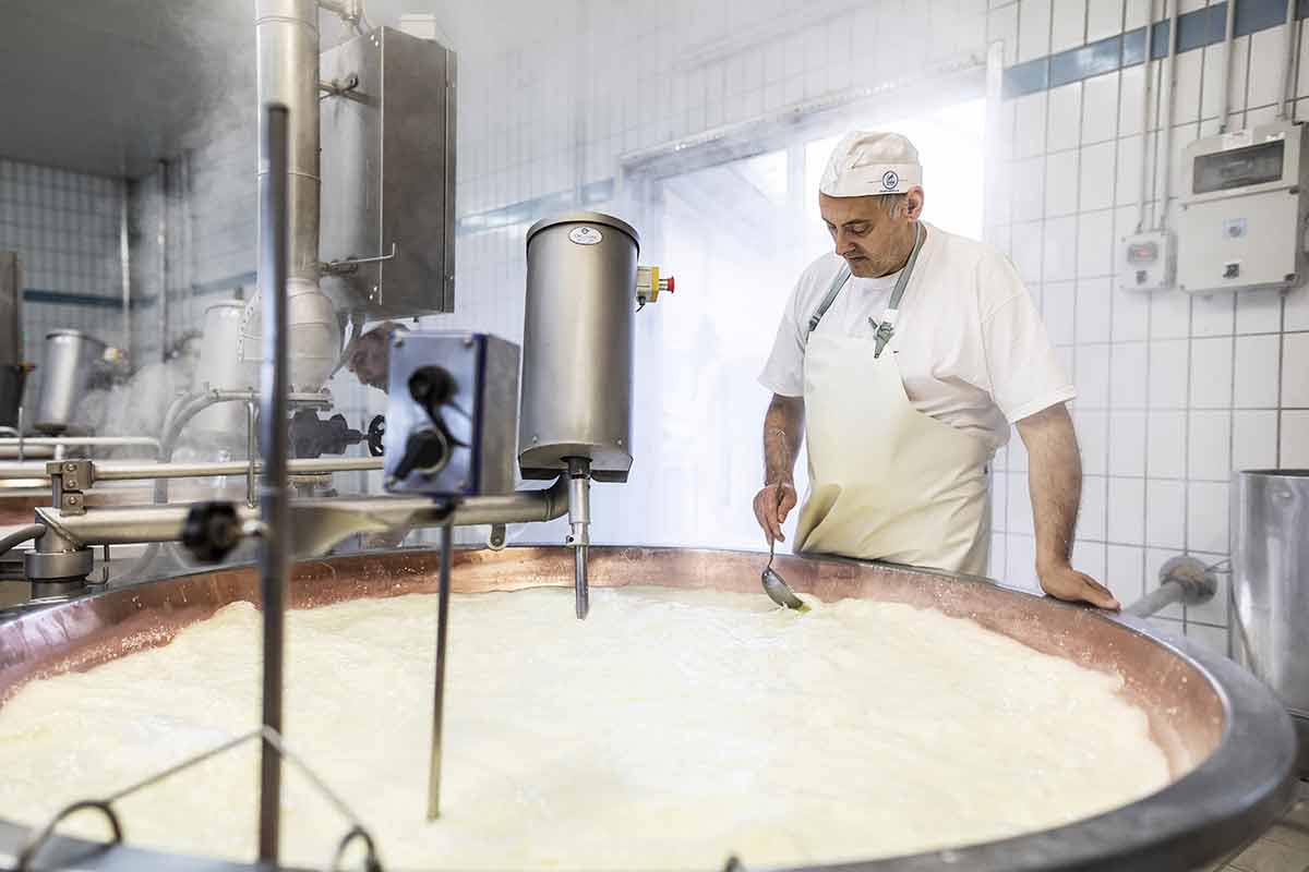 Gustoemilia - Vente Fromages - Parmigiano Reggiano Di Montagna affiné 30 mois1