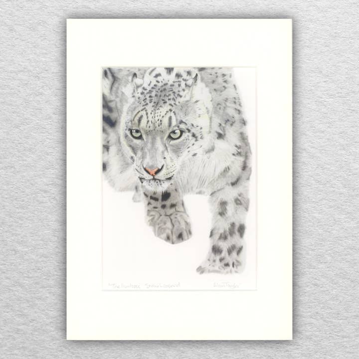 Snow Leopard Giclee Mounted Print for wholesale by Alan Taylor Art