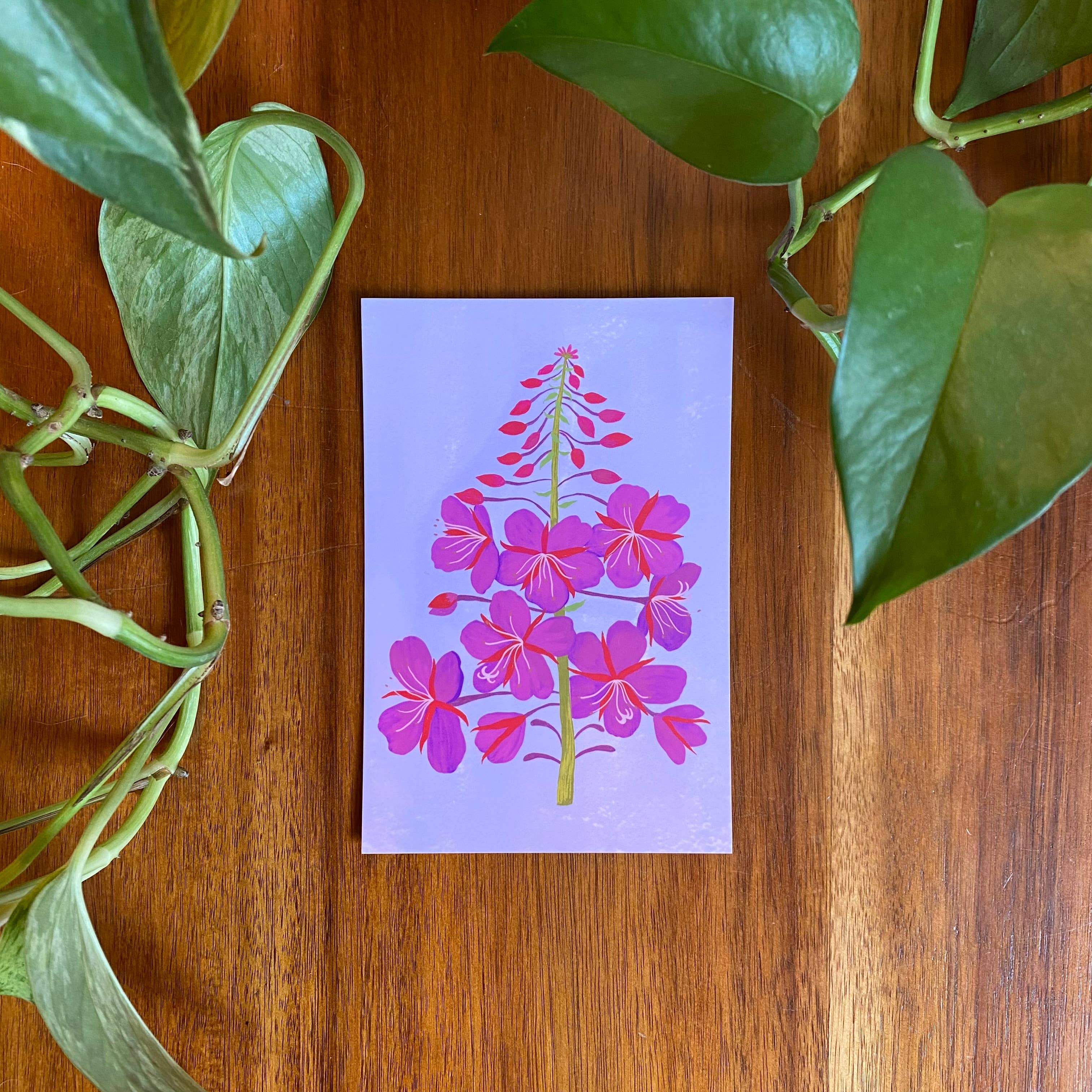 Dream Folk Studio - Wholesale Postcard Set - Pacific Northwest Wildflower Postcard Set - 10 postcards5