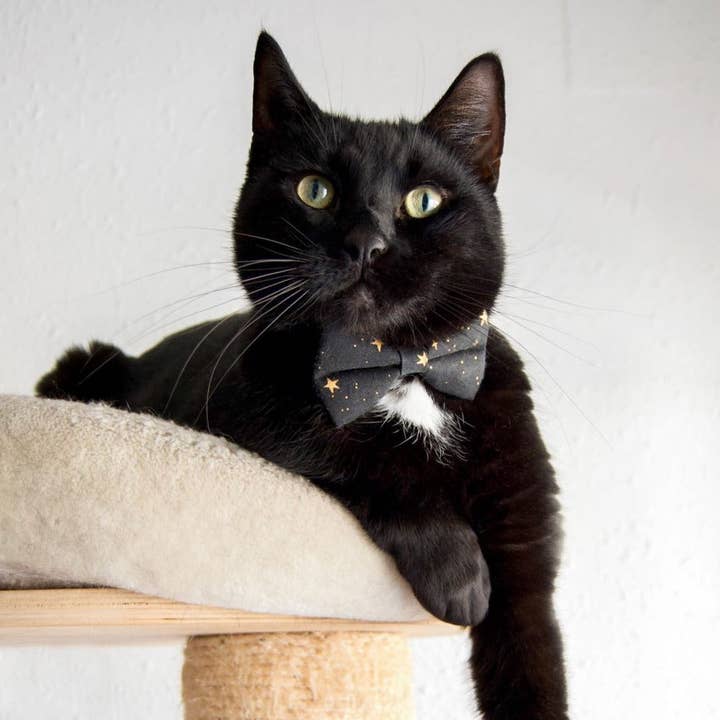 Made By Cleo - Wholesale Pet Bow Tie - Cat/Dog - "Noir" - Bow Tie For Cats & Small Dogs1
