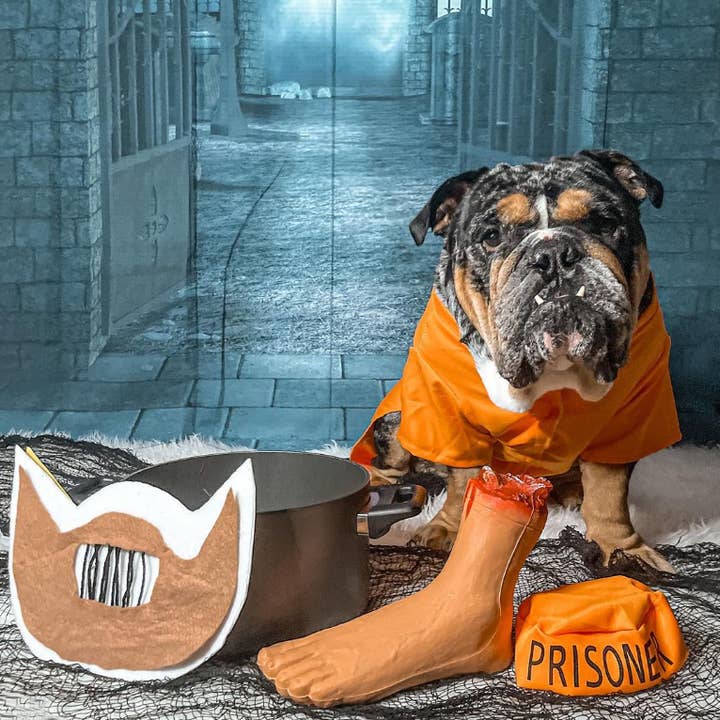 Midlee Designs - Vente Déguisement – chien - Déguisement de prisonnier Midlee Orange7