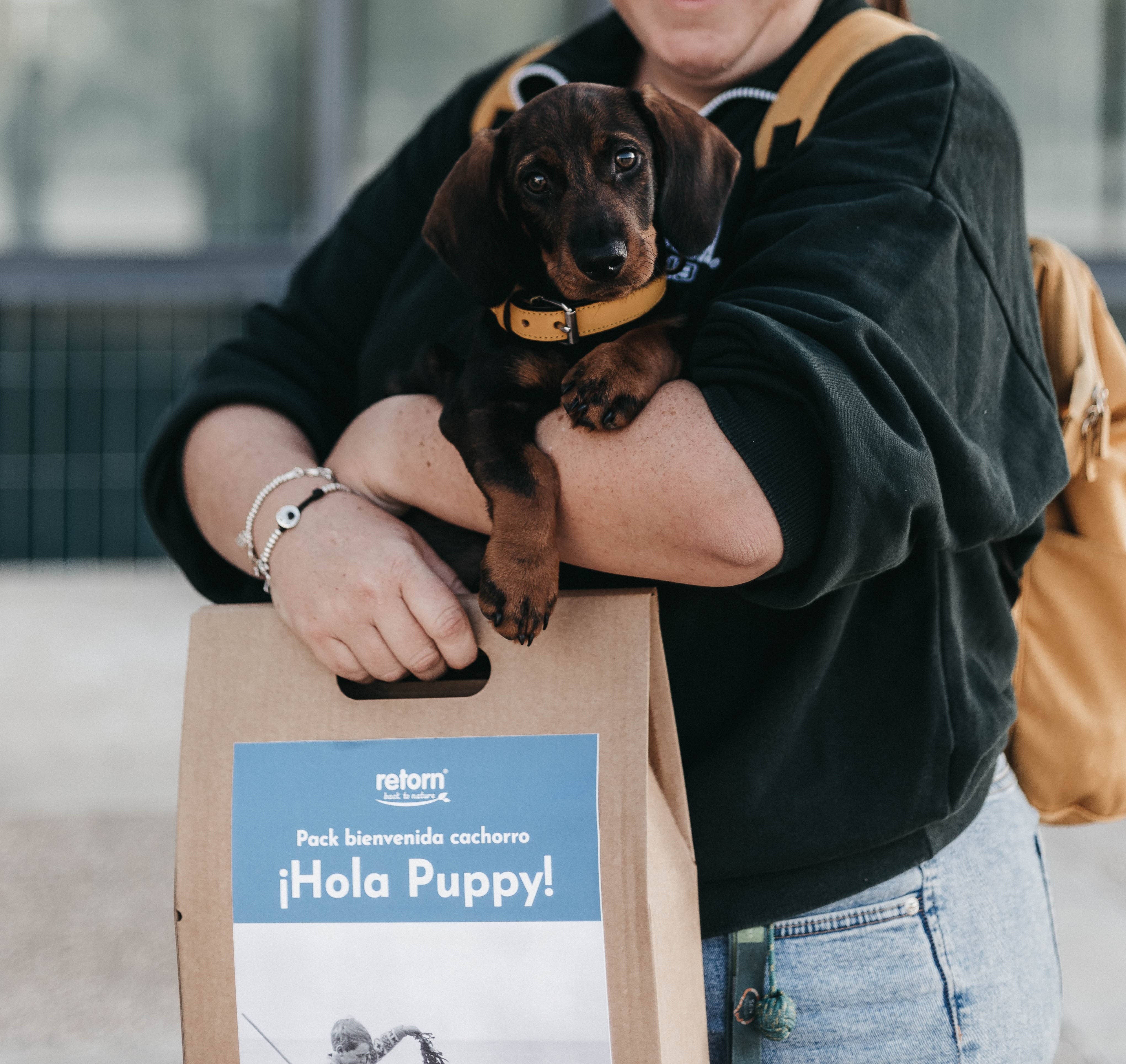 POCURULL SL (Retorn) - Venta al por mayor Comida - Perros - Latas Para Cachorros De Cordero Y Pollo De Retorn2