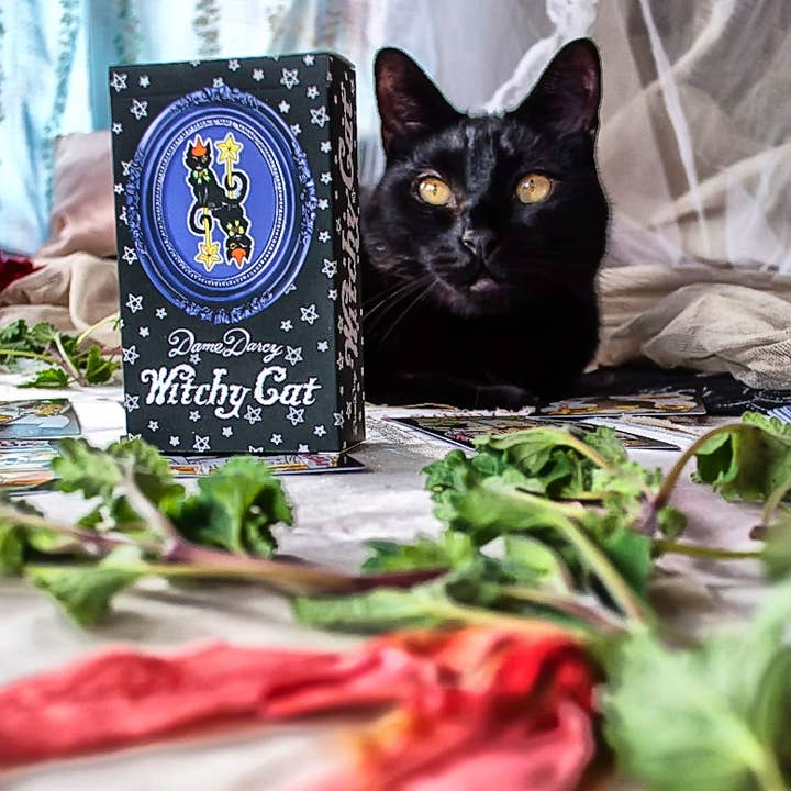 Dame Darcy - Venta al por mayor Cartas del tarot - Dame Darcy Edición Witchy Cat Tarot en caja3