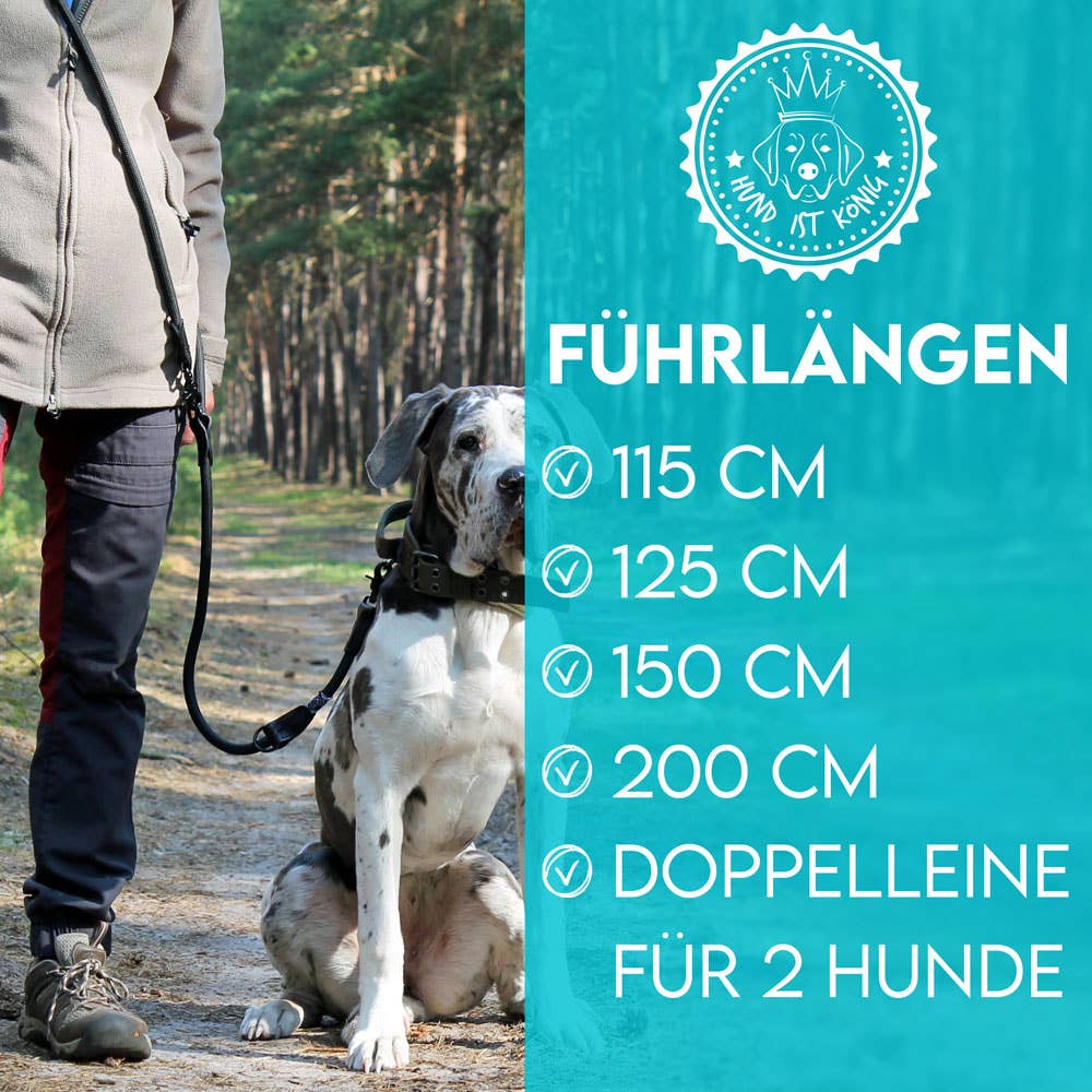 H.I.K. GmbH – Engroshandel Hundesnor - Hund – DOG IS KING® Justerbar hundesnor i 3 længder, 2,3 m5