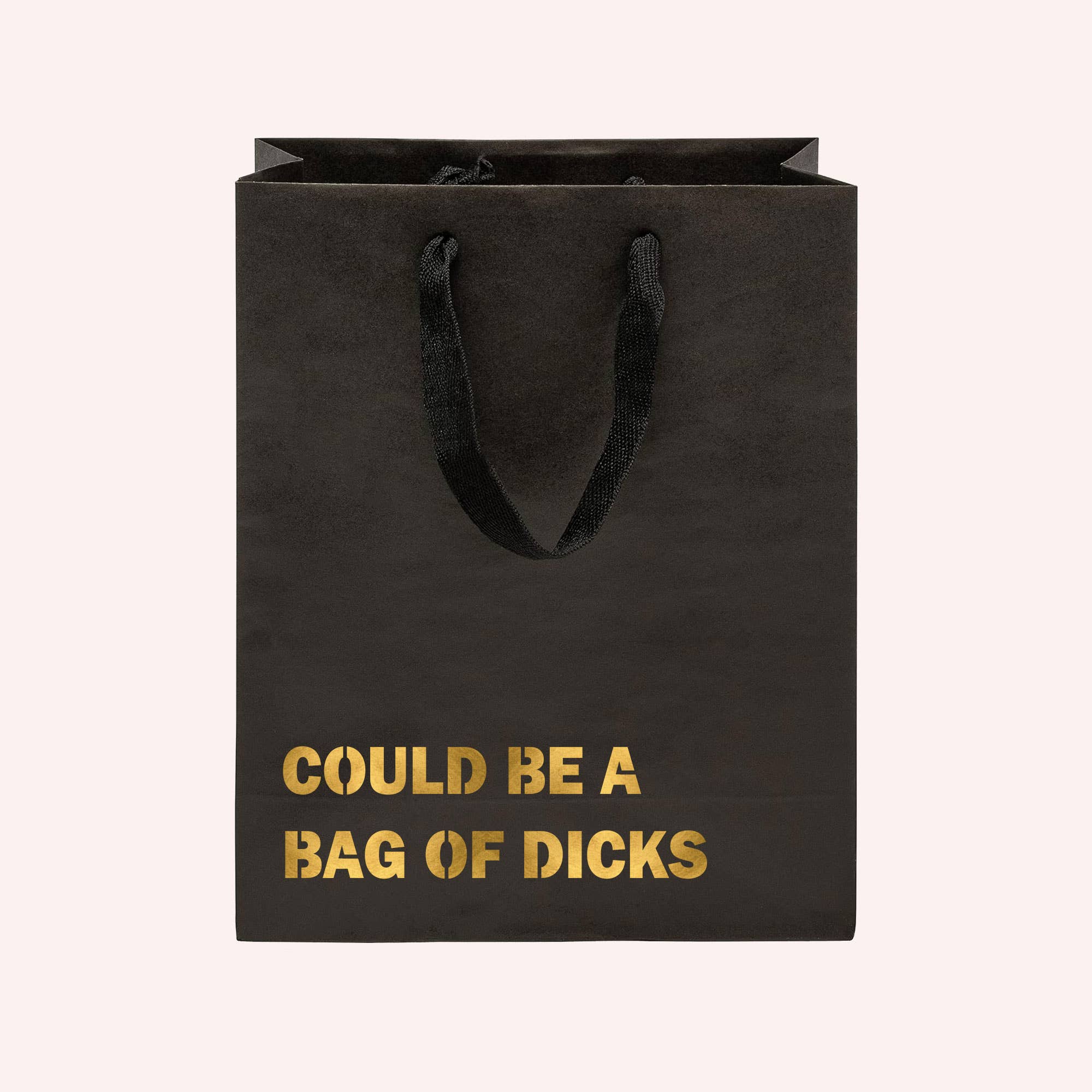 Crimson and Clover Studio – Großhandel Geschenktüten – Could Be A Bag of Dicks Lustige Geschenktüte