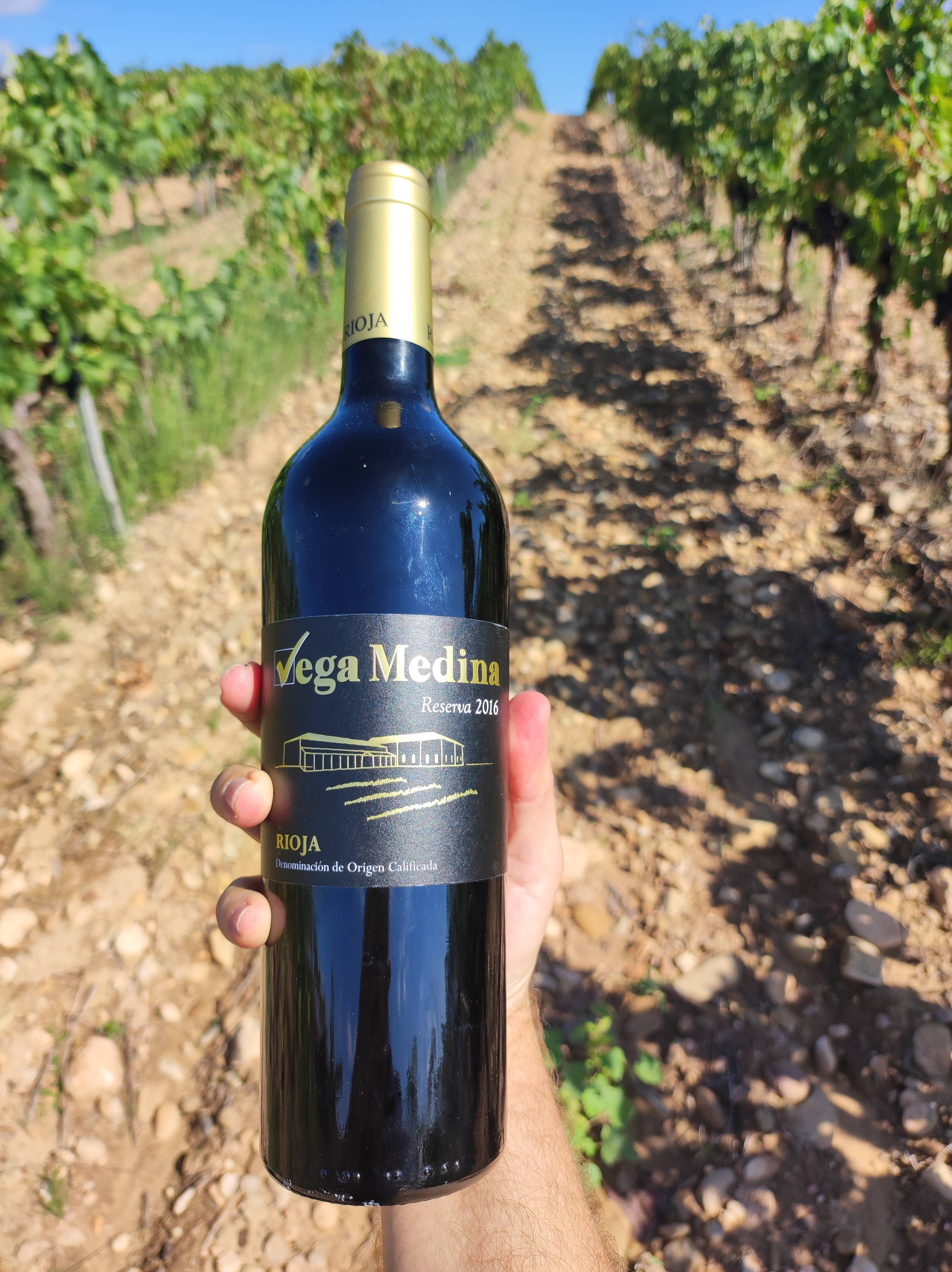 Viñedos y Bodegas Lyng – Engroshandel Rødvin – Reserva D.O.C. rødvin Rioja Vega Medina1