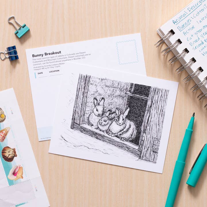 Bunny Breakout Art for wholesale by Coy Ink Studio