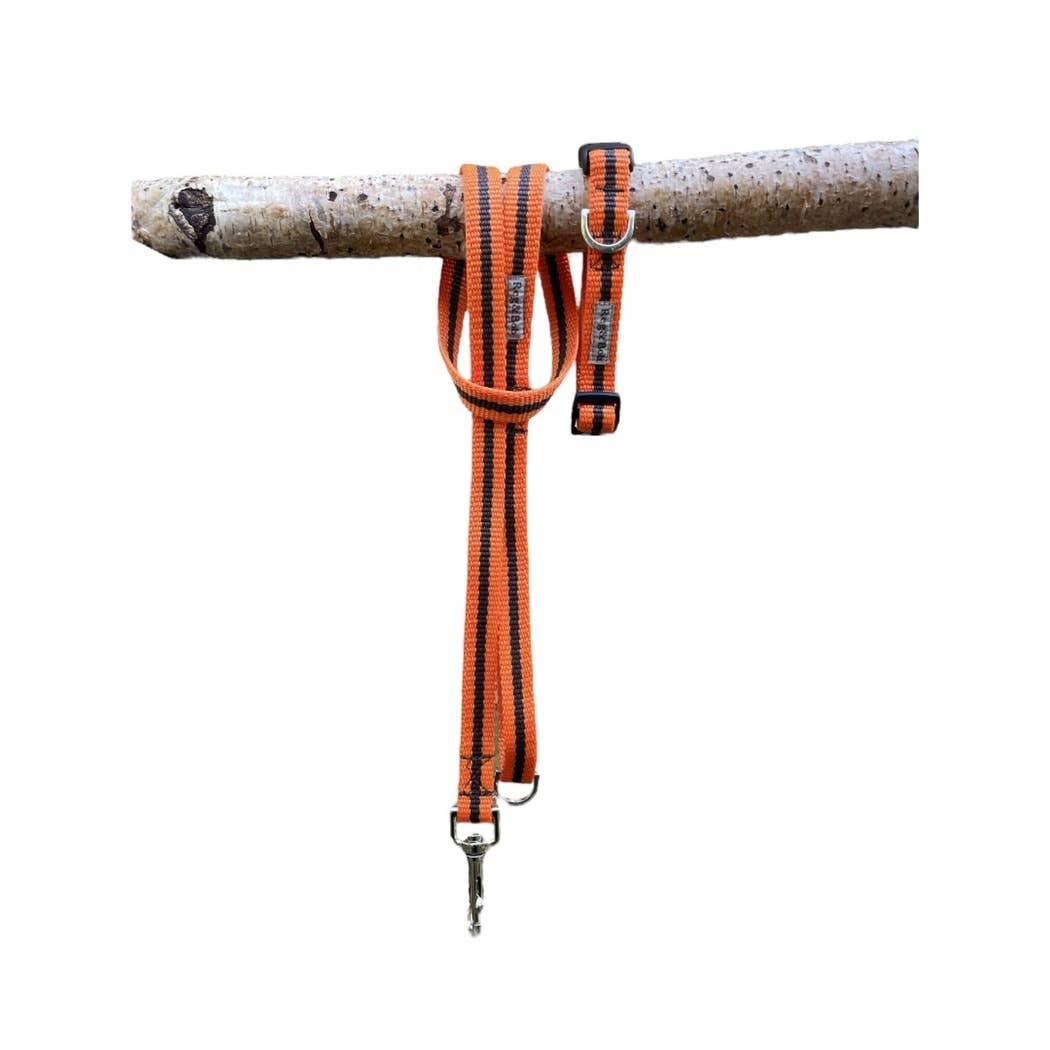 Reg&Bob - Wholesale Pet Collar - Dog - Reg&Bob Collar Orange stripe2