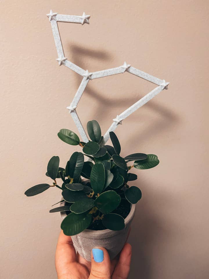 Zodiac Constellation tralic per la vendita all'ingrosso da parte di CMbeautifuldesigns